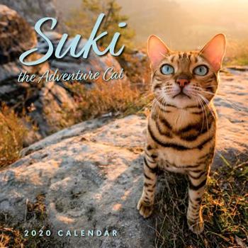 Calendar Suki the Adventure Cat 2020 Wall Calendar Book