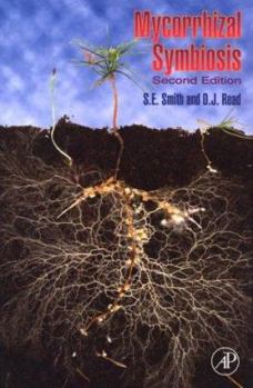 Mycorrhizal Symbiosis