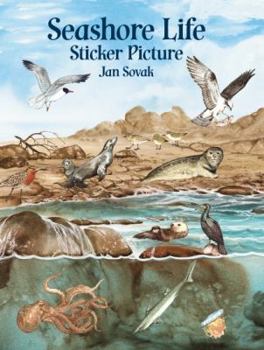 Paperback Seashore Life Sticker Picture Book