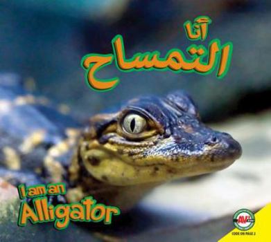 Hardcover Alligator: Arabic-English Bilingual Edition Book