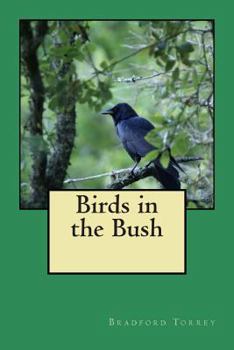 Paperback Birds in the Bush Book