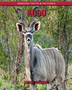 kudu: Amazing Facts & Pictures