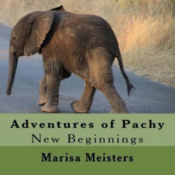 Paperback Adventures of Pachy: New Beginnings Book