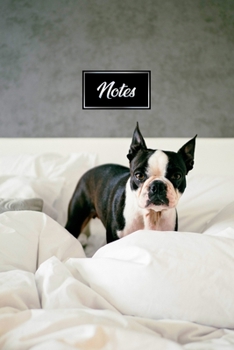 Boston Terrier Dog Pup Puppy Doggie Notebook Bullet Journal Diary Composition Book Notepad - Play in Bed: Cute Animal Pet Owner Composition Book with ... Plain Blank Paper Pages in 6” x 9” Inch