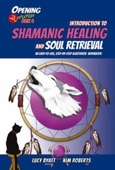 Paperback Introduction to Shamanic Healing and Soul Retrieval: An Easy-To-Use, Step-By-Step Illustrated Guidebook Book