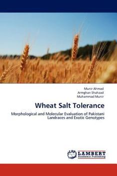 Paperback Wheat Salt Tolerance Book