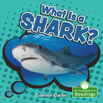 Library Binding What Is a Shark? Book