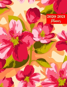 2020-2021 Planner: Nifty On-the-Go Daily, Weekly & Monthly Appointment Calendar - Large 2 Year Business Planners, Agenda Schedule Logbook and Journal