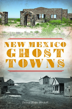 Paperback New Mexico Ghost Towns Book