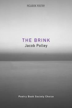 Paperback The Brink Book