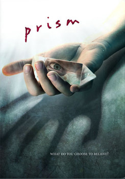 DVD Prism Book