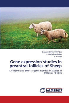 Paperback Gene expression studies in preantral follicles of Sheep Book