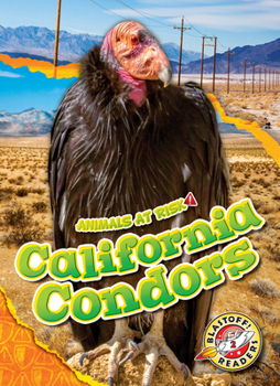 Library Binding California Condors Book