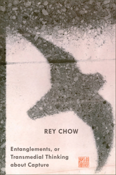 Hardcover Entanglements, or Transmedial Thinking about Capture Book