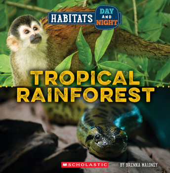 Hardcover Tropical Rainforest (Wild World: Habitats Day and Night) Book