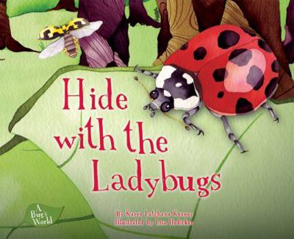 Hide with the Ladybugs - Book  of the Bug's World