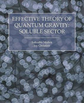 Paperback Effective Theory of Quantum Gravity: Soluble Sector Book