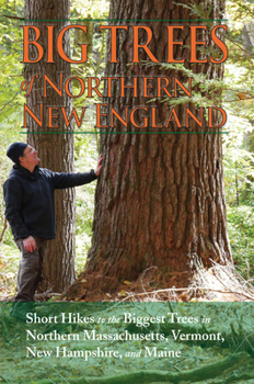 Paperback Big Trees of Northern New England Book