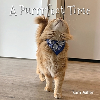 Paperback A Purrrfect Time Book