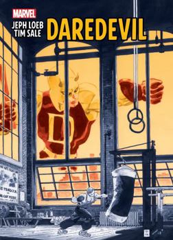 Hardcover Jeph Loeb & Tim Sale: Daredevil Gallery Edition Book