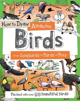 Paperback How to Draw Amazing Birds: From Songbirds to Birds of Prey Book