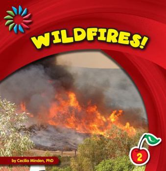 Library Binding Wildfires! Book