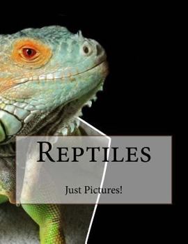 Paperback Reptiles Book