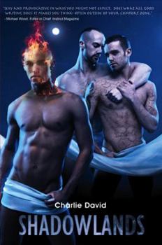 Paperback Shadowlands Book