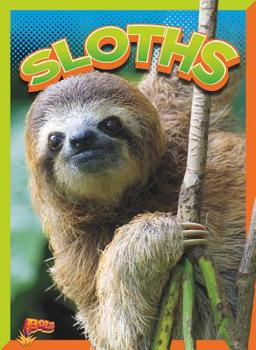 Paperback Sloths Book