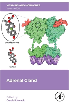 Hardcover Adrenal Gland: Volume 124 Book