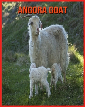 Paperback Angora Goat: Fun Facts and Amazing Photos of Animals in Nature Book