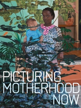 Hardcover Picturing Motherhood Now Book