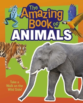The Amazing Book of Animals: Take a Walk on the Wild Side!
