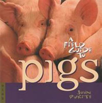 Paperback A Field Guide to Pigs Book