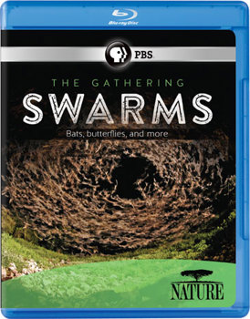 Blu-ray Nature: The Gathering Swarms Book