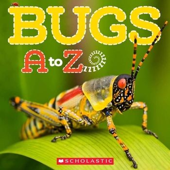 Paperback Bugs A to Z Book