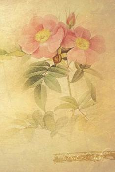 Paperback Rosa Lucida: Floral Notebook with Flower Illustrations on Every Page Book