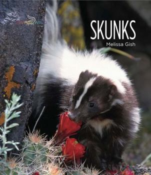 Skunks - Book  of the Living Wild