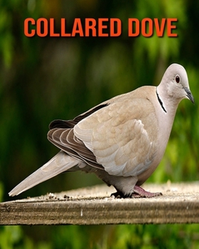 Paperback Collared Dove: Amazing Facts about Collared Dove Book
