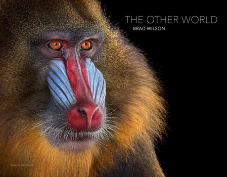 Hardcover Brad Wilson: The Other World: Animal Portraits Book