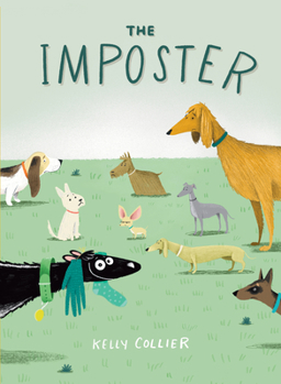 Hardcover The Imposter Book