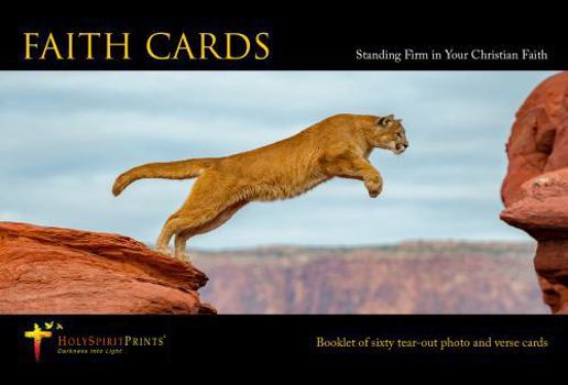 Paperback Faith Cards Book