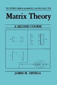 Paperback Matrix Theory: A Second Course Book