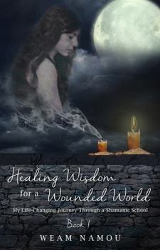 Paperback Healing Wisdom for a Wounded World: My Life-Changing Journey Through a Shamanic School (Book 1) Book