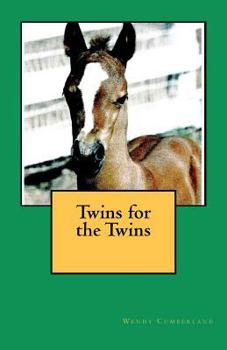Paperback Twins for the Twins Book