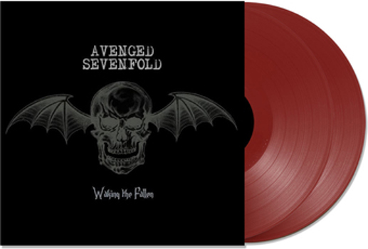 Vinyl Waking The Fallen Book