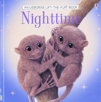 Paperback Nighttime Book