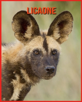 Paperback Licaone: Foto stupende e fatti divertenti Libro sui Licaone per bambini [Italian] Book
