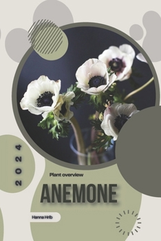 Anemone: Simply beginners guide