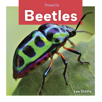 Beetles - Book  of the Insects